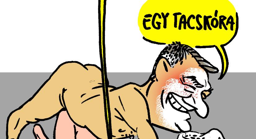 Kutyapóz