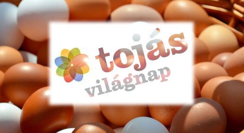 Tojás Világnapi szakmai konferencia