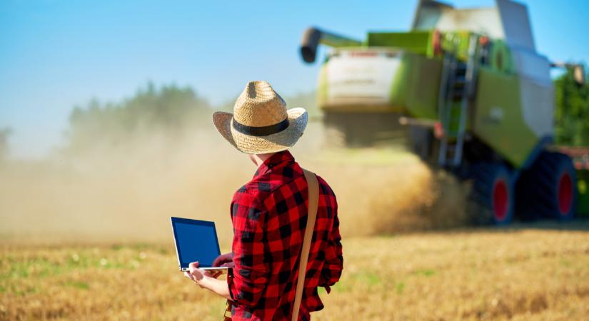 Egyre több diák jelentkezik a magyar agráregyetemek mesterképzéseire