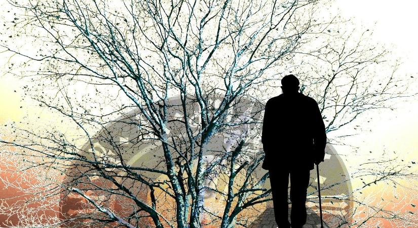 Az évszázad betegsége: Alzheimer-kór