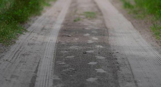 Annyi az illegális határátlépő, hogy a németek gondolkodnak az állandó ellenőrzésen