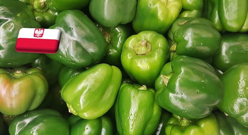 Lengyelország: az enyhülő importnyomás miatt nőtt a paprika ára
