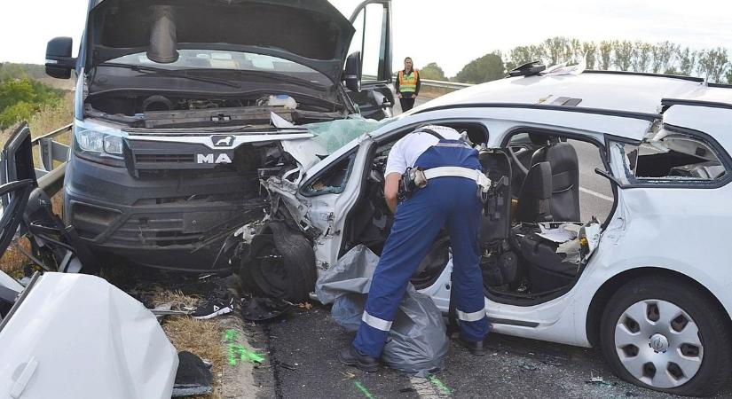 Halálos baleset Kisújszállásnál, egzotikus növények Karcagon – mutatjuk az elmúlt hét legjeit