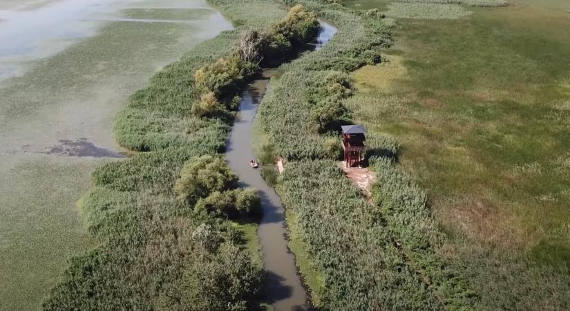 Még jobb kilátás a Tisza-tónál: újabb vízi kilátóval gazdagodott a tó