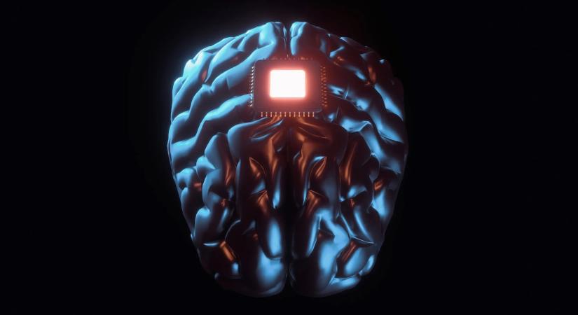 Botrány a Neuralink körül, kínok között haltak meg a kísérleti majmok