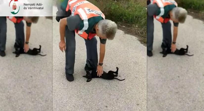 Hempergéssel köszönte meg a Hajdú-Biharban megmentett kiskutya a NAV-osoknak, hogy rátaláltak – videóval