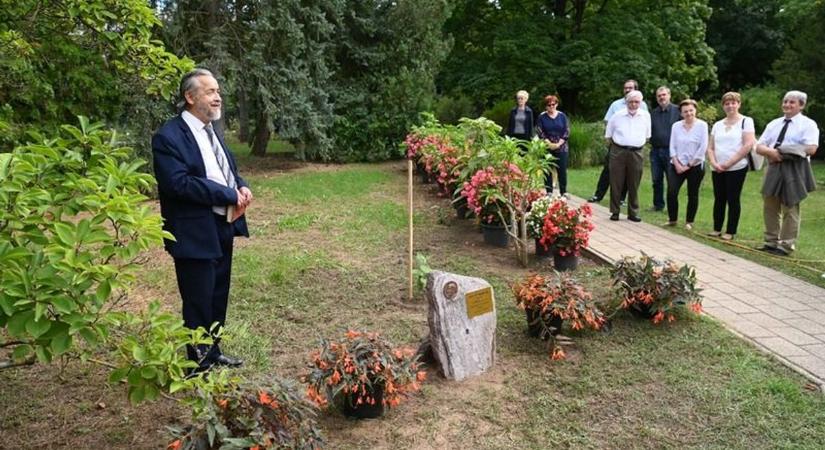 Emlékkövet és sétányt kapott Nánási Pál a botanikus kertben