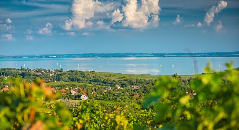 Költözzünk a Balatonhoz?!