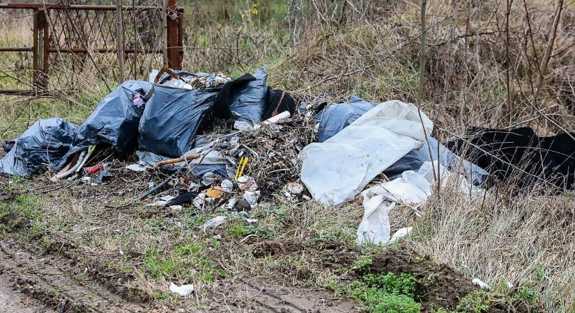 Akció a tiszta környezetért