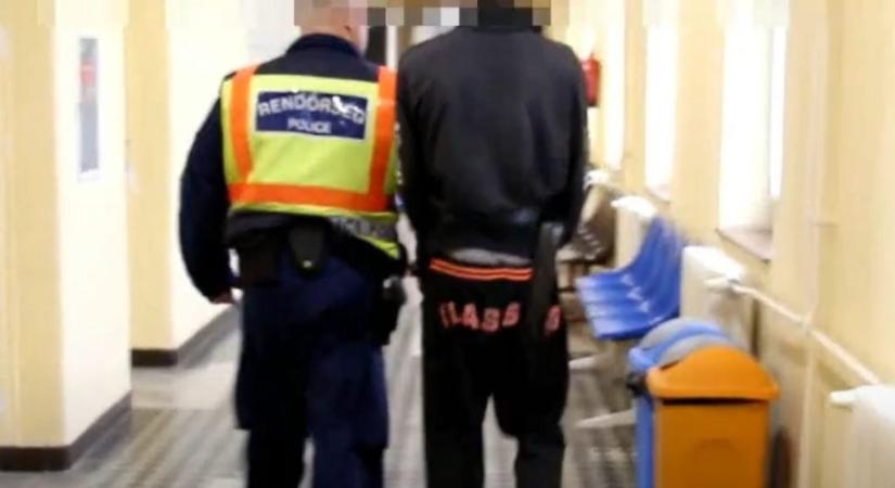 Jogerősen 12 évet kapott a nyíregyházi apagyilkos