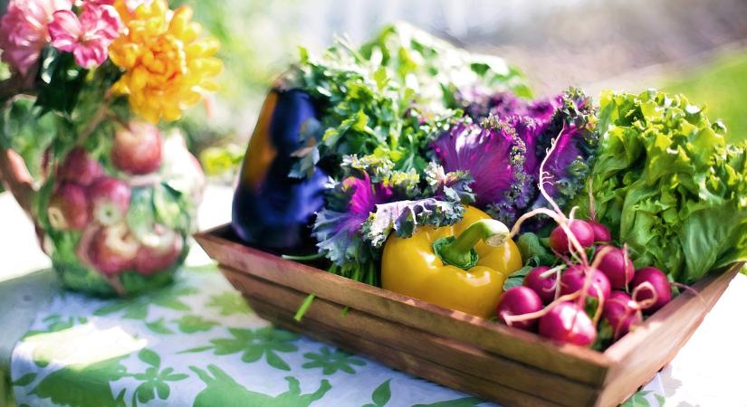 Indokolt bővíteni a kormány és a FAO közös ösztöndíjprogramját