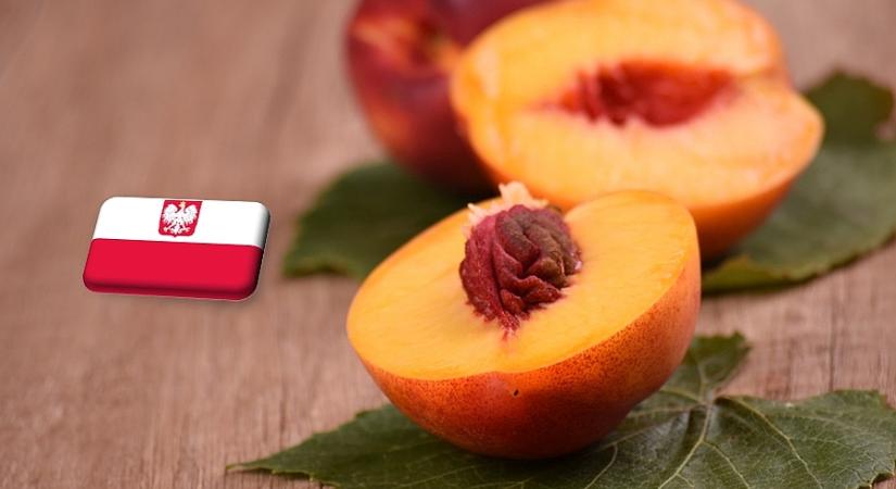 Lengyelország: a vége felé jár az őszibarack és a nektarin szezonja