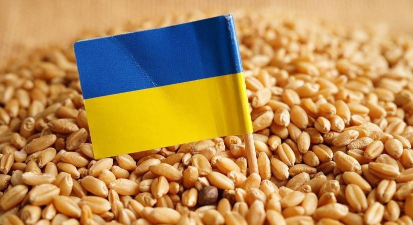 Századvég: a magyarok nem kérnek az ellenőrizetlen ukrán gabonadömpingből