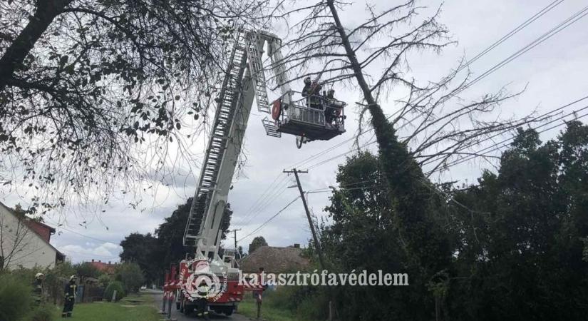 Károkat okozott a viharos szél Vasban - fotók