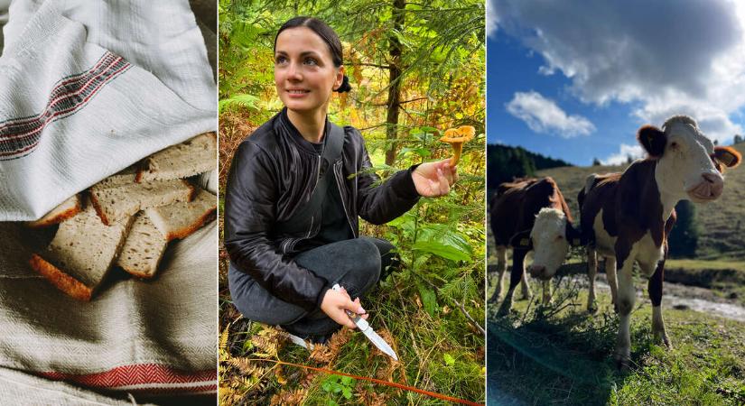 „Mintha otthon lennék, csak hegyekkel” – Erdélyi gasztrokalandjaim