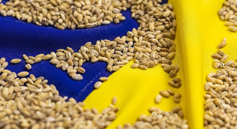 Orbán Viktorral szemben az EU nagyon elégedett az ukrán gabonával