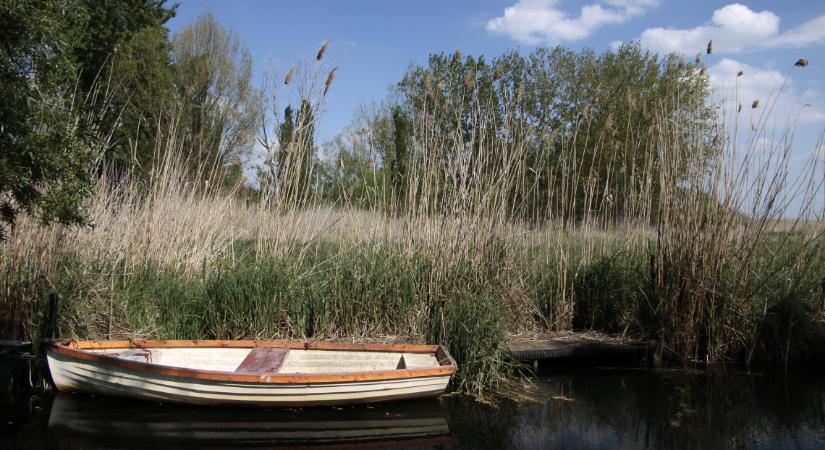 Fajsúlyos átalkulás kezdődött meg a Balatonnál: pár év, és rá sem ismerünk a magyar tengerre