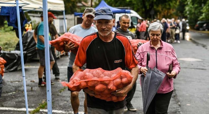 Kedvezményesen kapták a burgonyát, a hagymát
