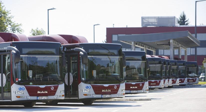 Megkongatták a vészharangot: egyre nagyobb a baj a Volánbusznál