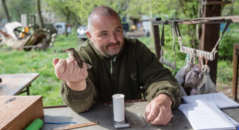 Fenékpusztán akár kenuzni is lehet egyet a Balatonon