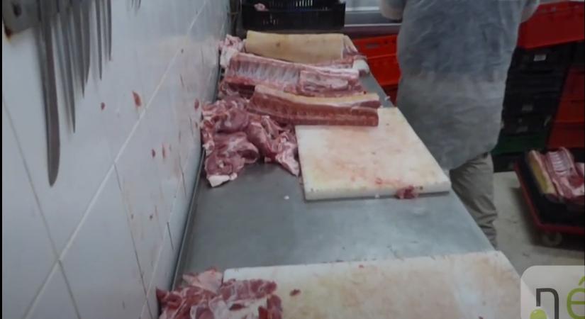 Egy Csongrád-Csanád vármegyei vágóhíd működését felfüggesztették (VIDEÓ)