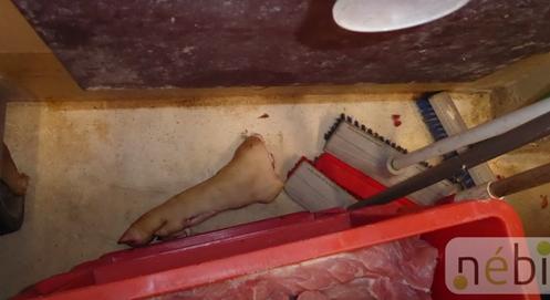 Rozsdás fűrész, véres padló, csülök a partvisok között – videón az újabb magyar horrorvágóhíd