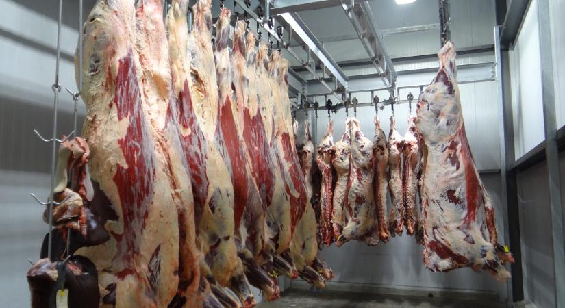 Felfüggesztették egy Csongrád-Csanád vármegyei vágóhíd működését
