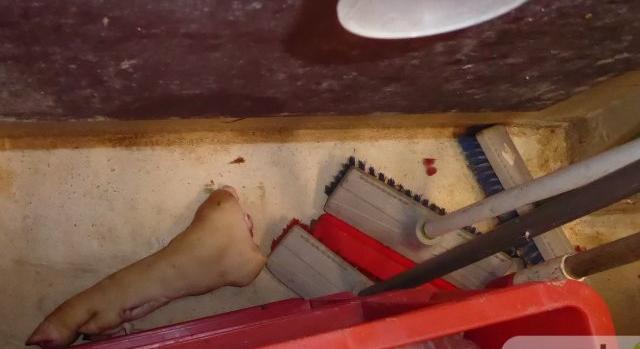 Partvis mellett lábszár: videón, hogy milyen elképesztő körülmények voltak egy vágóhídon