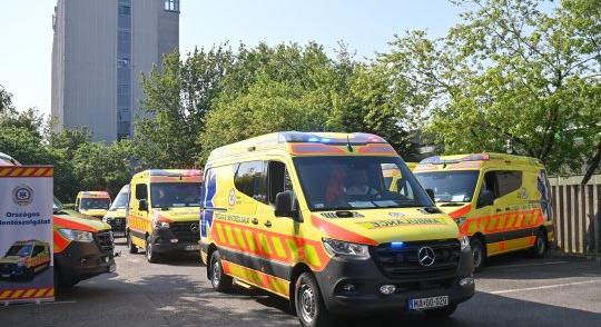 Tizenöt éves gyerek mentette meg a férfi életét Solymáron