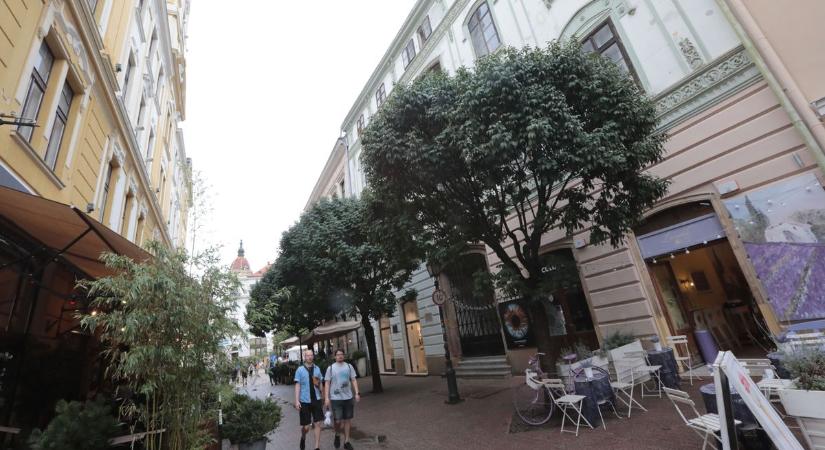 Nem támogatta a pécsi városvezetés a Zsolnay-emléktáblát