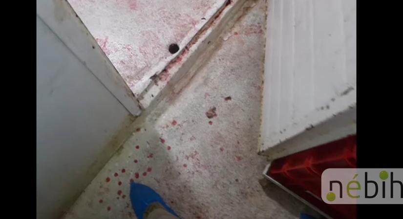 Kosz, rozsda és vér mindenütt: felfüggesztette a horrorvágóhíd működését a Nébih – sokkoló videó