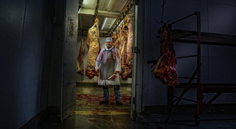 Gyomorforgató: elképesztő, mit találtak a csongrádi horror-vágóhídon