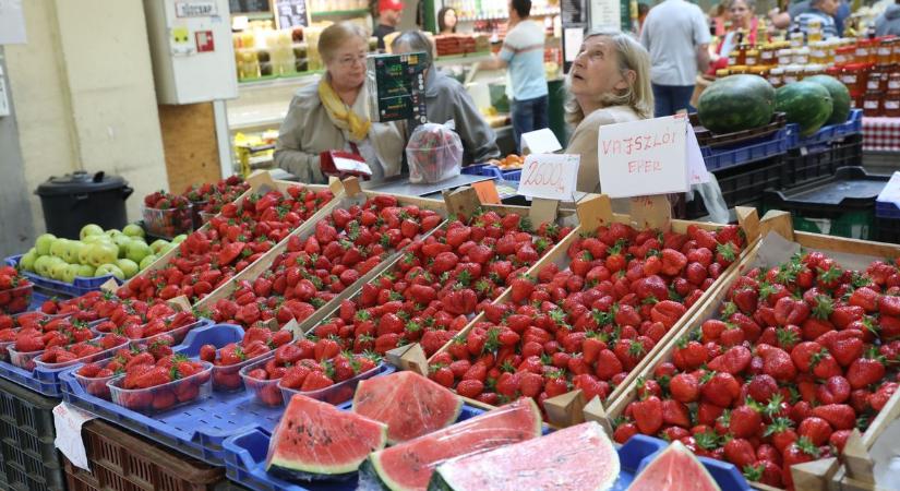 Megtelt élettel a hétvégén a pécsi vásárcsarnok