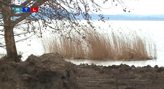 Kiirtották a nádast a kempingnél, az új tulaj most kikötőt építene Balatonakaliban