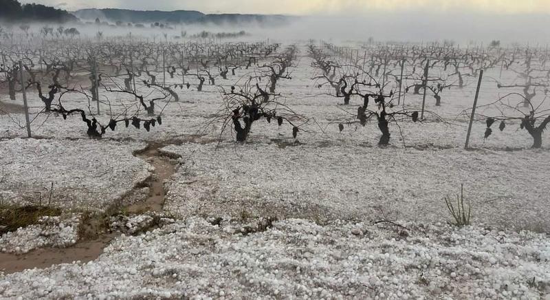 22 000 hektáron pusztult a termés Valenciában a jégveréses vihar nyomán a hétvégén