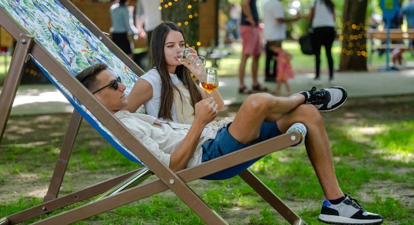 Vingardium Borliget – Erzsébetligeti Borfesztivál 2024