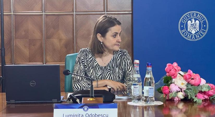 Drónügy: megdicsérte a NATO-t Luminiţa Odobescu külügyminiszter