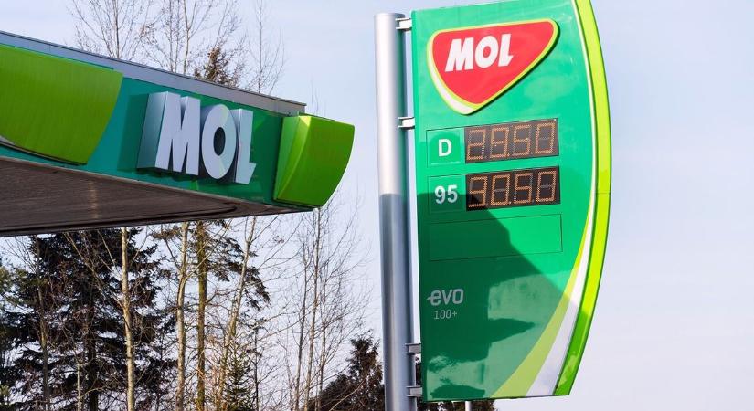 Utolsó figyelmeztetés: a kormány asztalhoz ültette a Molt és jelentést kér