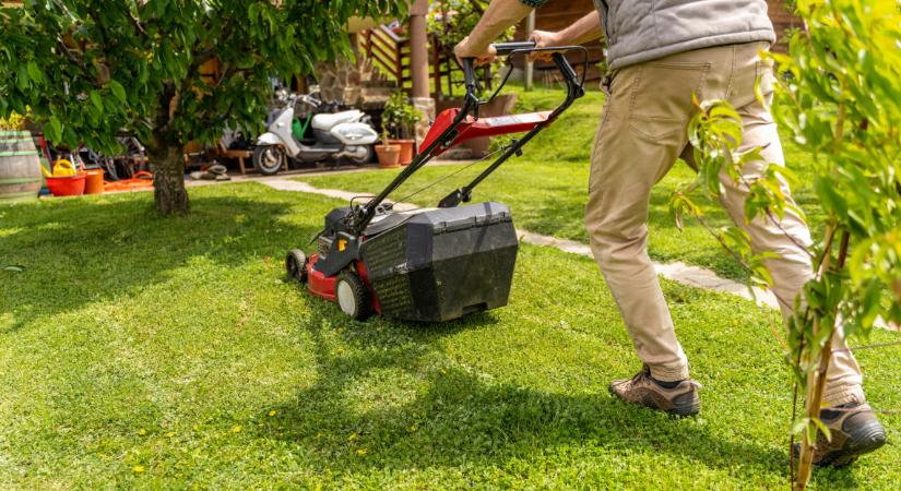 Kertészek titkos tippje: ezt most intézd el, ha jövőre gyönyörű gyepet akarsz a kertedben
