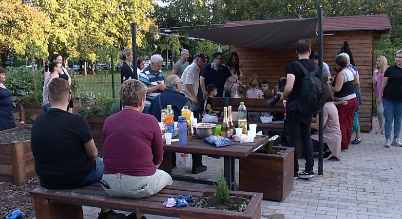 Első születésnapját ünnepelte a Tócóskerti Közösségi Kert