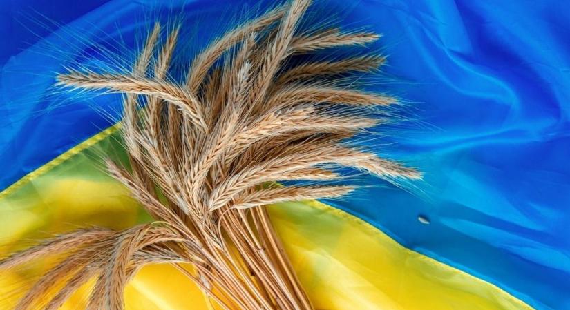 Valódi EU-lépéseket sürgetnek a V4-ek az ukrán gabona ügyében