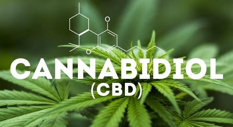 Mi a titka a CBD-olajnak? – Rá lehet szokni?