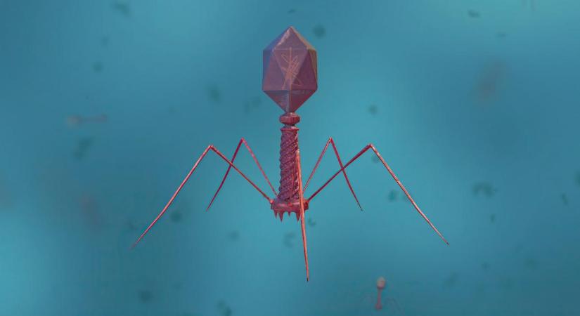Egy új vírus emelkedett fel a Mariana-árok mélyéről