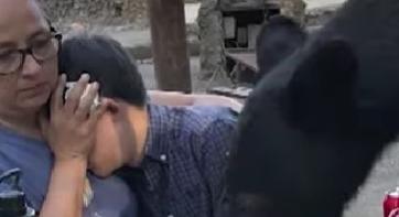 Medve rémített halálra egy piknikező családot Mexikóban - videó
