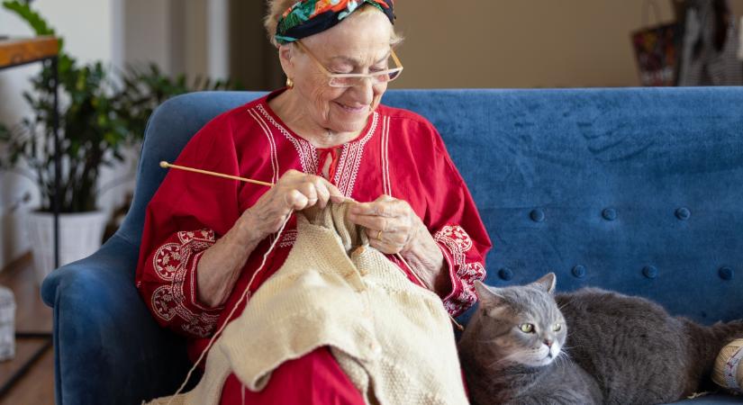Az átlagos gazdinak érdekes elképzelése van arról, milyen érzelmeket él meg a kedvence