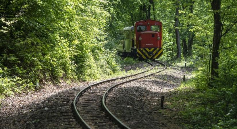 Az EGERERDŐ Zrt. 200 kisvonat jeggyel támogatja hátrányos helyzetű gyermekek kirándulásait
