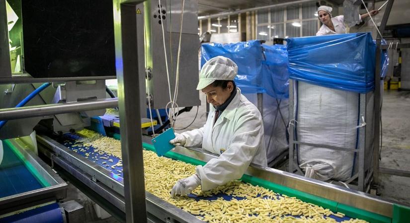Itt a bejelentés: évközi minimálbér-emelés és 2027-ig szóló bérfelzárkózási program kerül a kormány asztalára