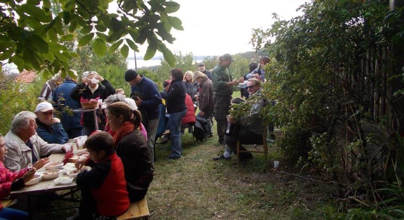 Becehegyi Bortúra 2023 Balatongyörök