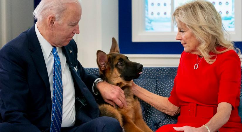 Joe Biden kutyája ismét megharapott egy titkosszolgálati ügynököt