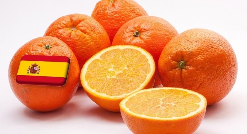 Spanyolország: még a tavalyinál is kisebb narancstermés várható az idén